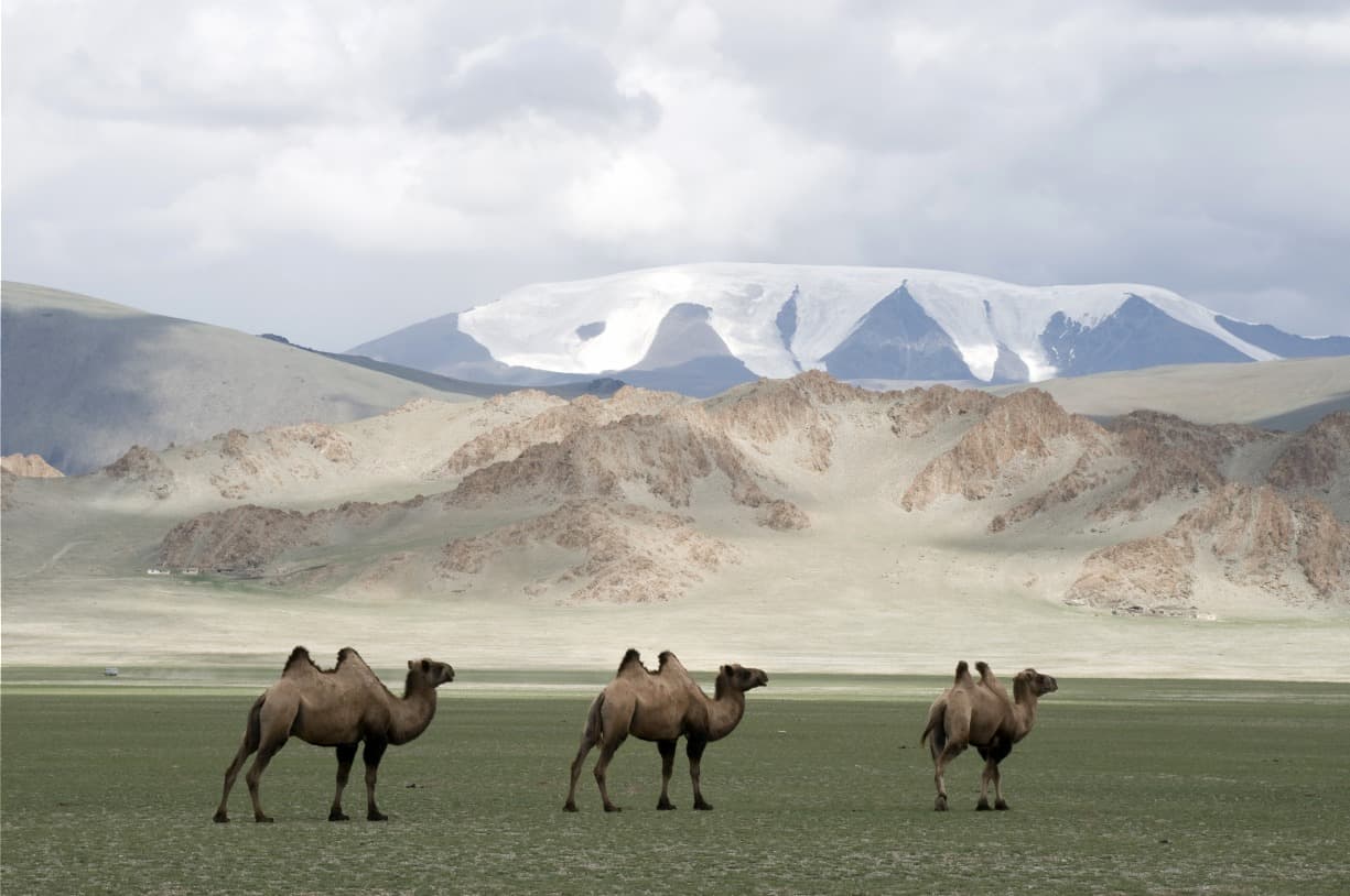 El parque nacional de Tsambagarav